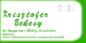krisztofer bekesy business card